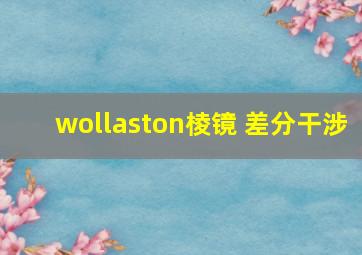 wollaston棱镜 差分干涉